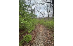 3401 Henry Dr, Imperial, MO 63052