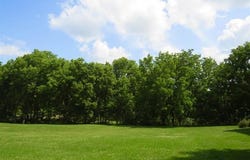 TBD FULTON Street, GALENA, IL 61036