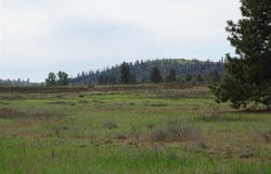 15xxx W SR 902 Hwy, Medical Lake, WA 99022
