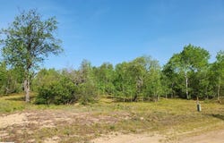 4935 LINDSEY LANE, GAYLORD, MI 49735