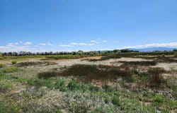 00 Ellingwood Place, Alamosa, CO 81101