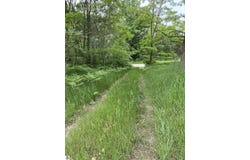 Parcel A Cemetery Road, Alden, MI 49612