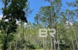0 Highway 29, Andalusia, AL 36420
