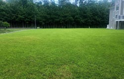 38101 NATURES WALK WAY, SELBYVILLE, DE 19975