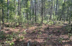0 Rumbley Point Rd, Marion, MD 21838