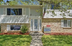 981 Nantucket St, Windsor, CO 80550