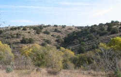 Mountain View Road, Silver City, NM 88061