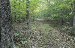 Tract 1 Dusty Road, Cadet, MO 63630