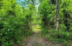 13337 ROWE ROAD, SMITHSBURG, MD 21783