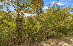 Lot 31 Peaceful  PL, Harrison, AR 72601