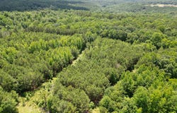 525 Overlook Road, Blountsville, AL 35031