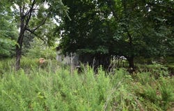 36321 HWY 20, Jay, OK 74346