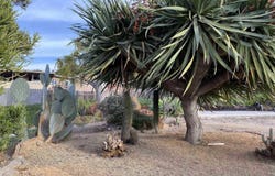 238 Lilac, El Cajon, CA 92021