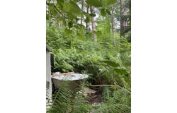 71424 FISHHAWK RD, Clatskanie, OR 97016