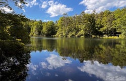 FR16 opossum Path, Brevard, NC 28712