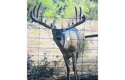 201 County Road 114, Burnet, TX 78611