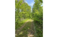 Tbd Range Line Rd, Nickerson Twp, MN 55756
