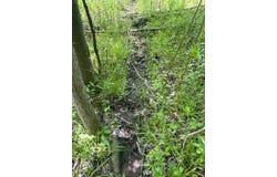 00WP Sharon Hill Rd, Sharon Springs, NY 13459