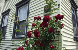 8 Spring Street, Westbrook, ME 04092