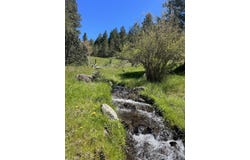 Cummings Creek Road, Mount Vernon, OR 97865