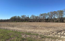 Tract 1 Buttercup Drive, Ward, SC 29166