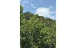 159 Valley Vista lot: 159, Tarpley, TX 78883