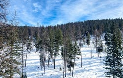 386 Racheals Meadow Lane, Kila, MT 59920