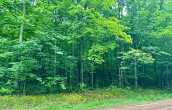 CRANE FOOT LAKE RD lot: 3, Gleason, WI 54435