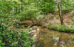 621 Pine View Drive, Westminster, SC 29693