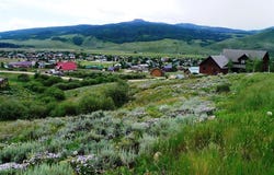 60 Zeligman Street, Crested Butte, CO 81224
