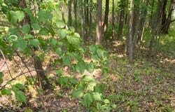 0 Derby RD, Gretna, VA 24557