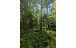620 Blackberry Lane, Clarkesville, GA 30523