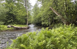 0 Military Turnpike, Plattsburgh, NY 12901