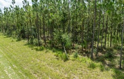 235TH RD, Dowling Park, FL 32060