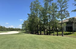 3715 BUTTONWOOD Way unit: 1711, Naples, FL 34112