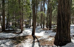 1968 Flamingo Way, Arnold, CA 95223