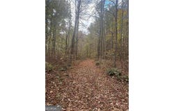 9905 BRAZELL, Palmetto, GA 30268