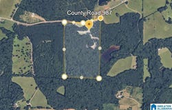 0 COUNTY ROAD 46, MONTEVALLO, AL 35115