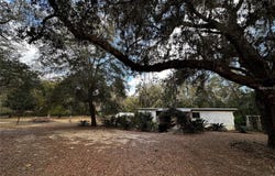 12212 NE 238TH TERRACE, SALT SPRINGS, FL 32134