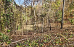 St James Lane, Clinton, TN 37716