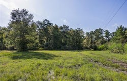 109 Old Sign Road County Road, Midway, TX 75852