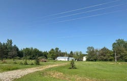 14382 S Chapin Road, Elsie, MI 48831