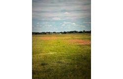 19774 FM 47, Wills Point, TX 75169