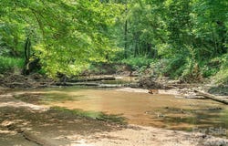Hwy 72, Carlisle, SC 29031