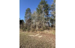 Wedgewood Trace, Hattiesburg, MS 39402