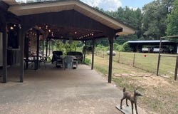 753 Nevada 15, Rosston, AR 71858