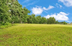 32291 RUSTY CREEK TRAIL, DADE CITY, FL 33525