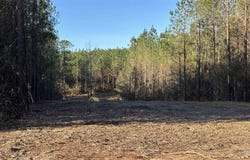 Straw Bridge Rd lot: 62, Jay, FL 32565