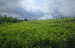 204 Valley View Dr, Smyrna, NY 13464