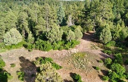 Owls 1 Blue Spruce, Chama, NM 87520
